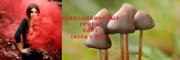 бошки Козельск