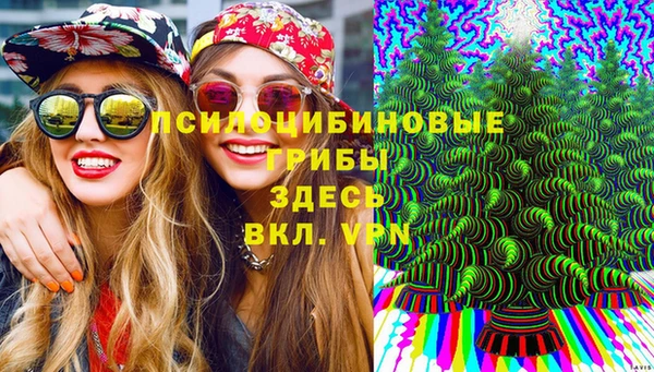 первитин Кодинск