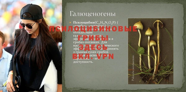первитин Кодинск