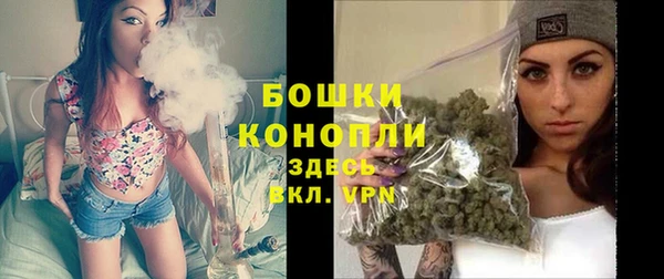 бошки Козельск
